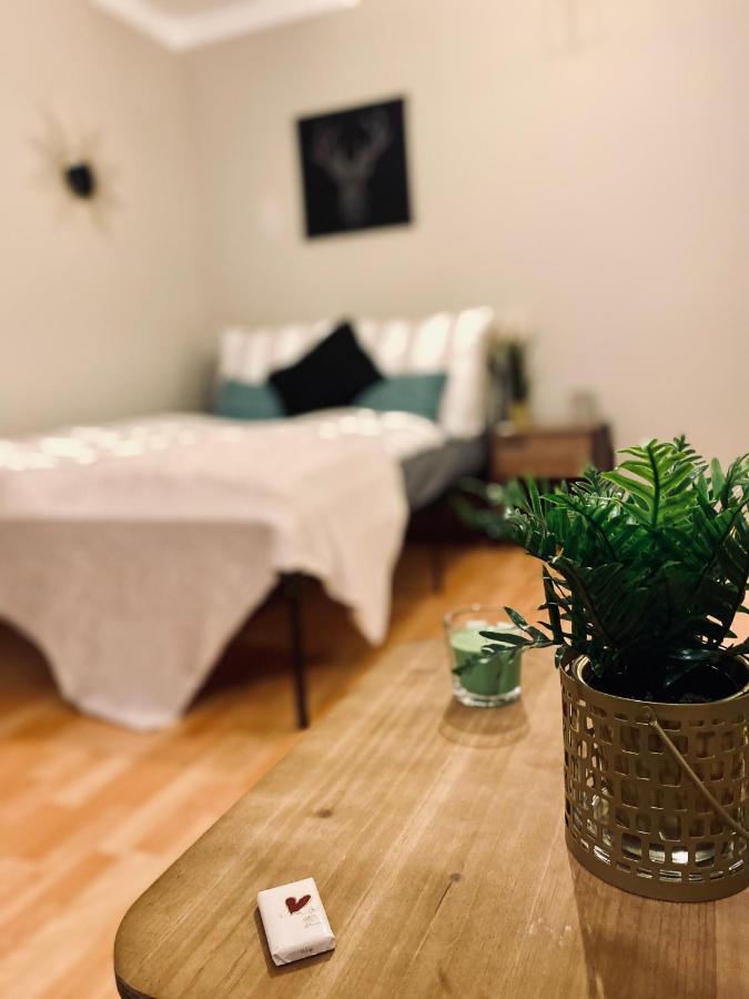 Saniertes Studio - Elisa - Mit Balkon, Wlan, Smart-Tv & Kueche In City-Naehe Erfurt Dış mekan fotoğraf