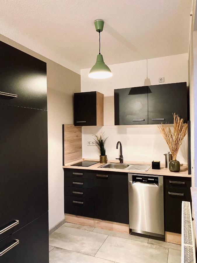Saniertes Studio - Elisa - Mit Balkon, Wlan, Smart-Tv & Kueche In City-Naehe Erfurt Dış mekan fotoğraf